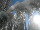 photo30_small.jpg