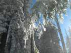 photo31_small.jpg