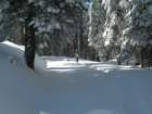 photo35_small.jpg