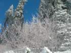 photo38_small.jpg