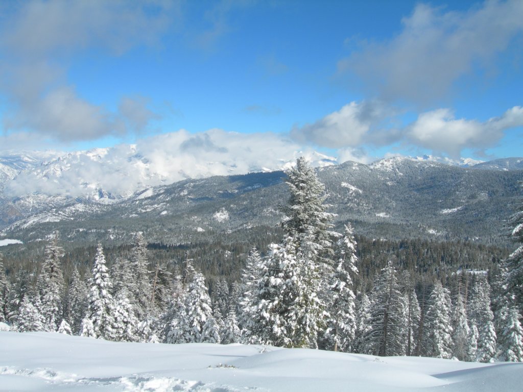 photo42.jpg