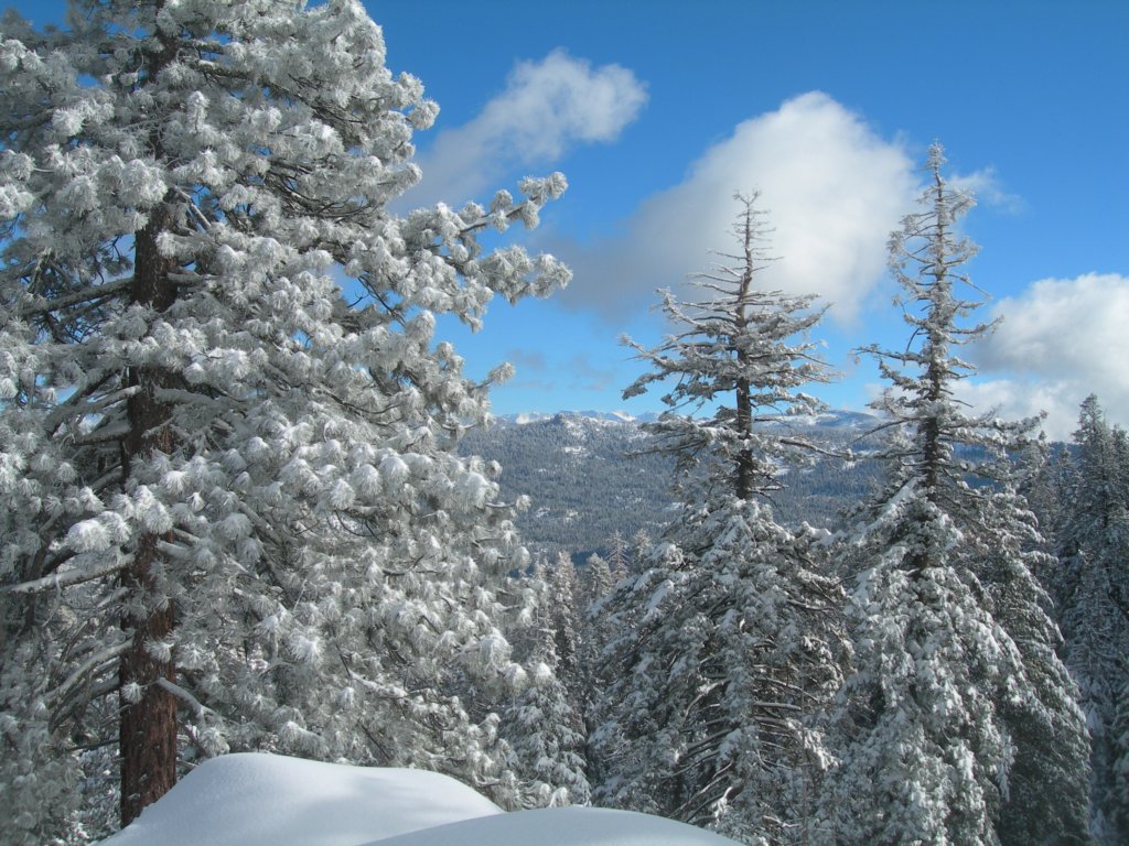 photo48.jpg