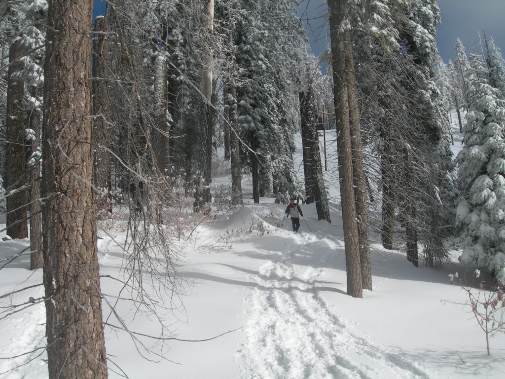 photo51.jpg