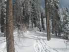 photo51_small.jpg