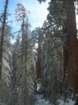 photo72_small.jpg