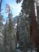 photo73_small.jpg