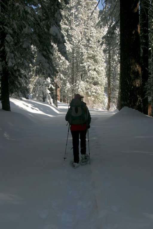 snowshoetrip_012.jpg