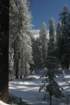 snowshoetrip_015_small.jpg
