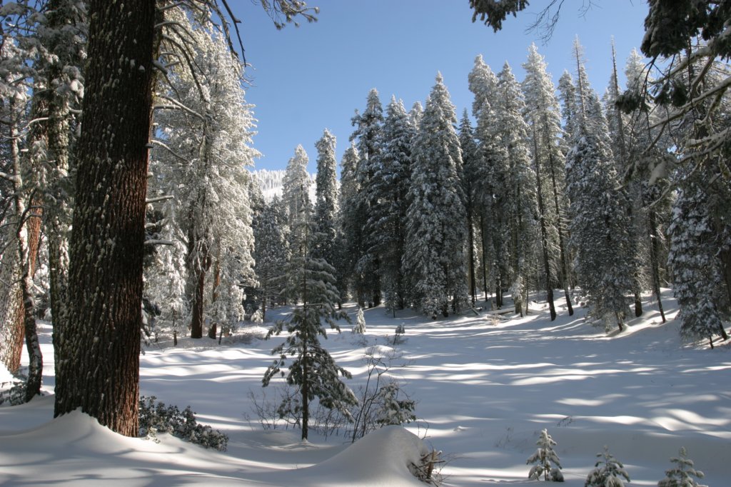 snowshoetrip_016.jpg