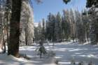 snowshoetrip_016_small.jpg