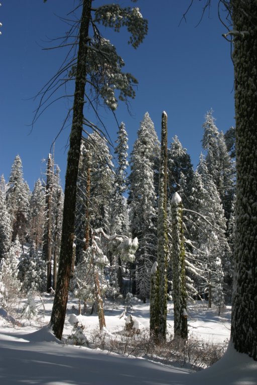 snowshoetrip_025.jpg