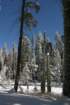 snowshoetrip_025_small.jpg