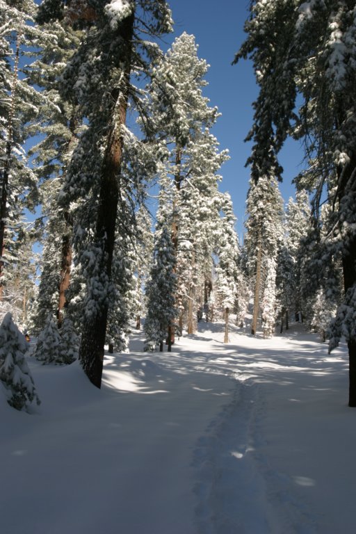 snowshoetrip_029.jpg