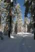snowshoetrip_029_small.jpg