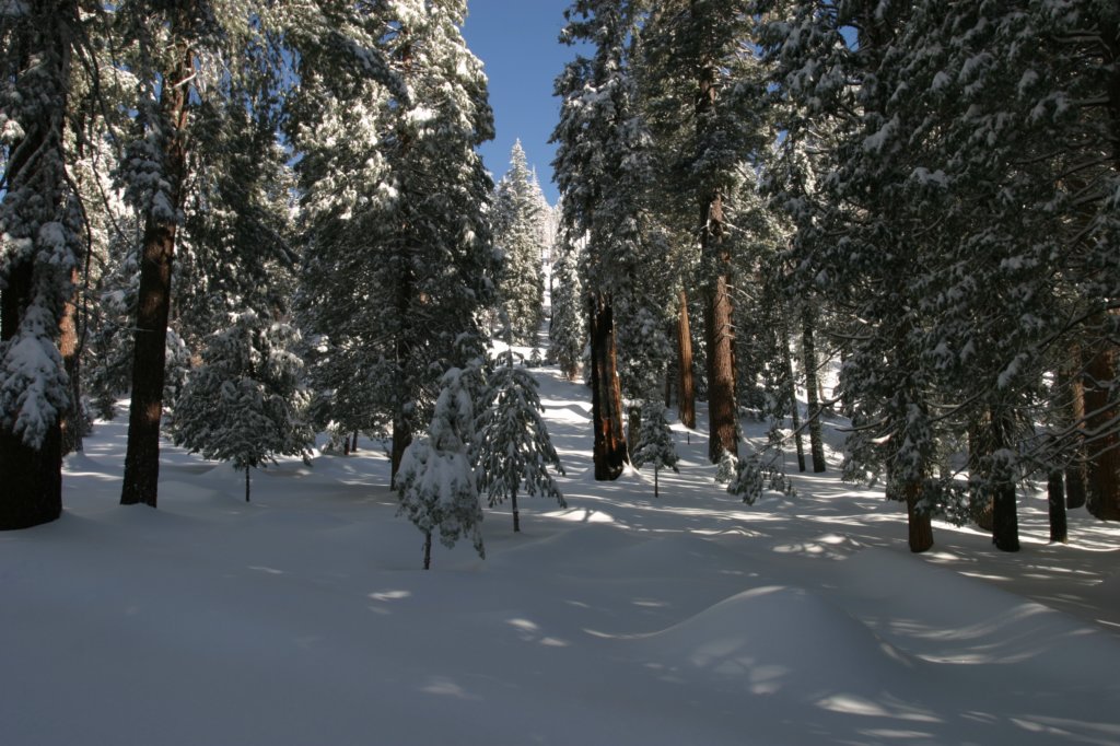 snowshoetrip_032.jpg