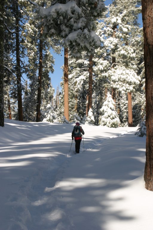 snowshoetrip_034.jpg
