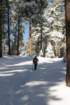 snowshoetrip_034_small.jpg