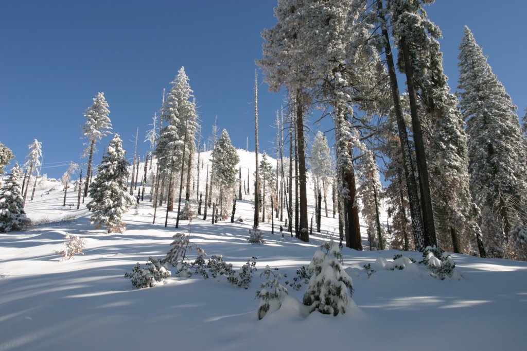 snowshoetrip_039.jpg