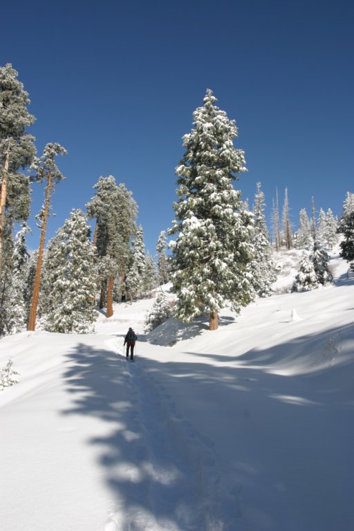 snowshoetrip_040.jpg