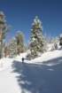 snowshoetrip_040_small.jpg