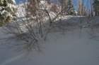 snowshoetrip_041_small.jpg