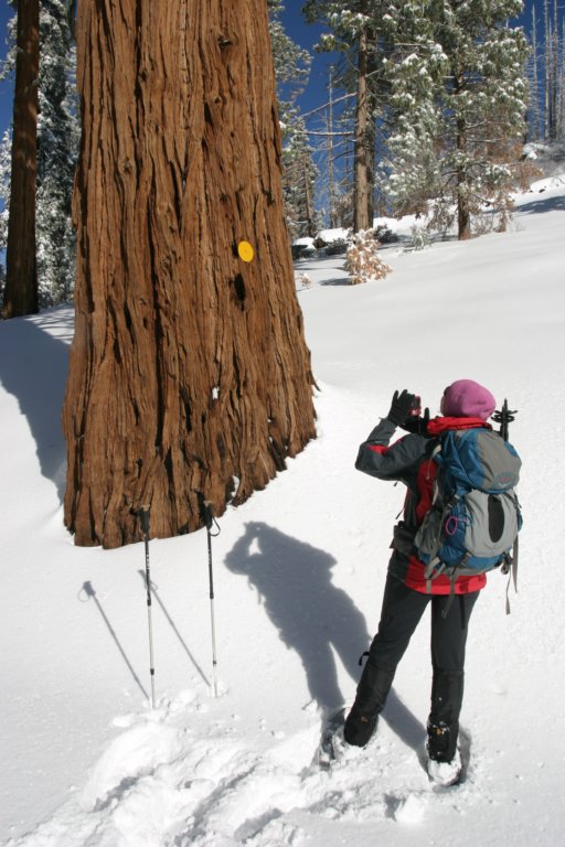 snowshoetrip_045.jpg