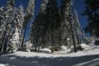 snowshoetrip_049_small.jpg