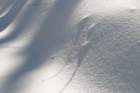 snowshoetrip_057_small.jpg