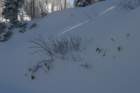 snowshoetrip_058_small.jpg