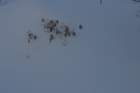 snowshoetrip_059_small.jpg
