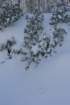 snowshoetrip_060_small.jpg