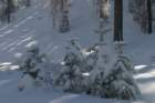 snowshoetrip_061_small.jpg