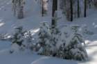 snowshoetrip_063_small.jpg