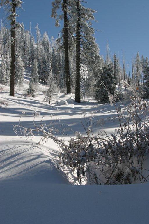 snowshoetrip_067.jpg