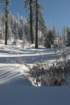 snowshoetrip_067_small.jpg