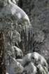 snowshoetrip_074_small.jpg