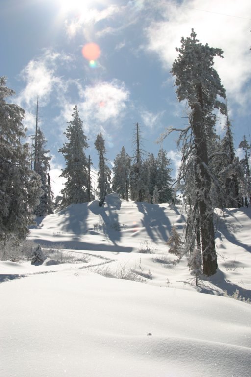 snowshoetrip_078.jpg