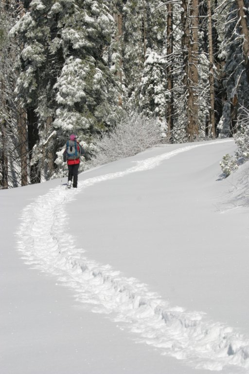 snowshoetrip_085.jpg