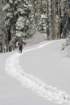 snowshoetrip_085_small.jpg