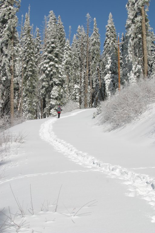snowshoetrip_086.jpg