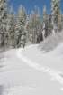 snowshoetrip_086_small.jpg