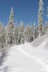 snowshoetrip_087_small.jpg