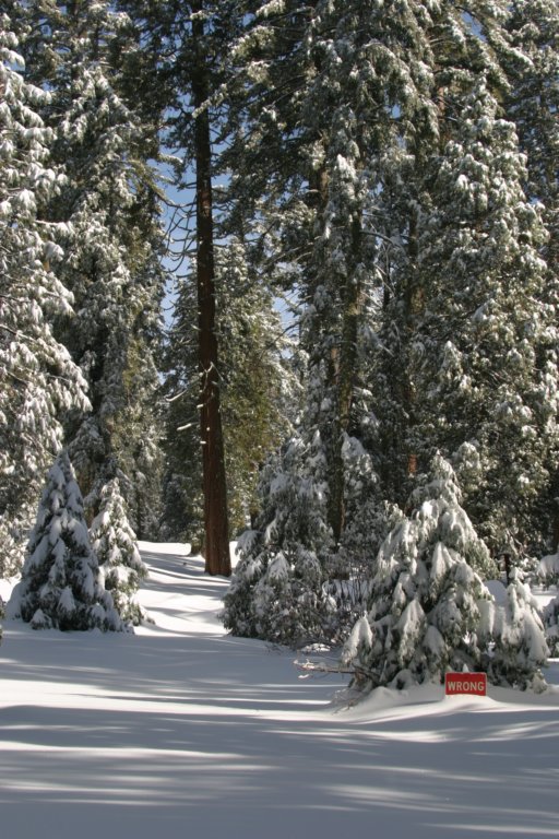 snowshoetrip_092.jpg