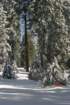 snowshoetrip_092_small.jpg