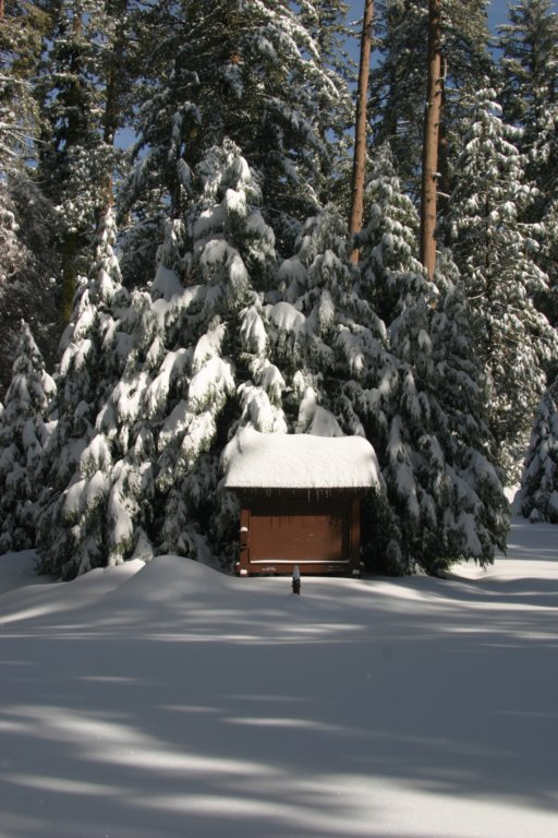 snowshoetrip_093.jpg