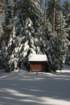 snowshoetrip_093_small.jpg