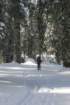 snowshoetrip_095_small.jpg
