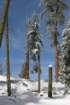 snowshoetrip_096_small.jpg