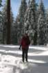 snowshoetrip_098_small.jpg