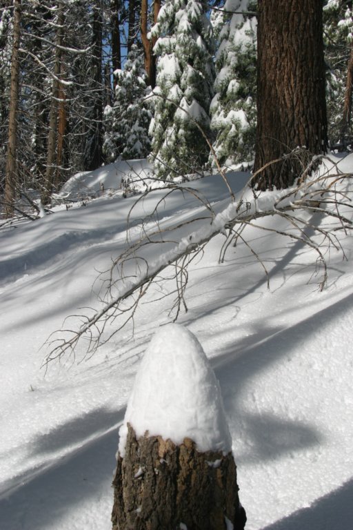 snowshoetrip_100.jpg